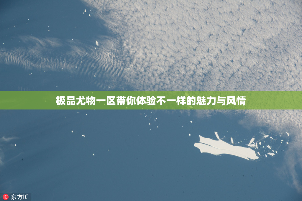 极品尤物一区带你体验不一样的魅力与风情