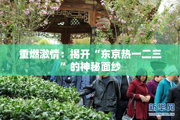 重燃激情：揭开“东京热一二三”的神秘面纱