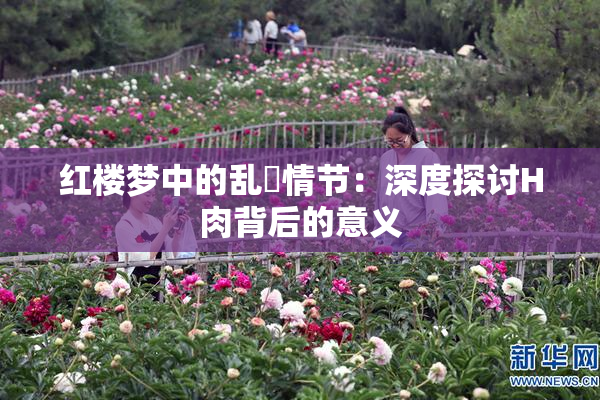 红楼梦中的乱婬情节：深度探讨H肉背后的意义
