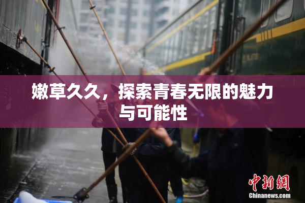 嫩草久久，探索青春无限的魅力与可能性