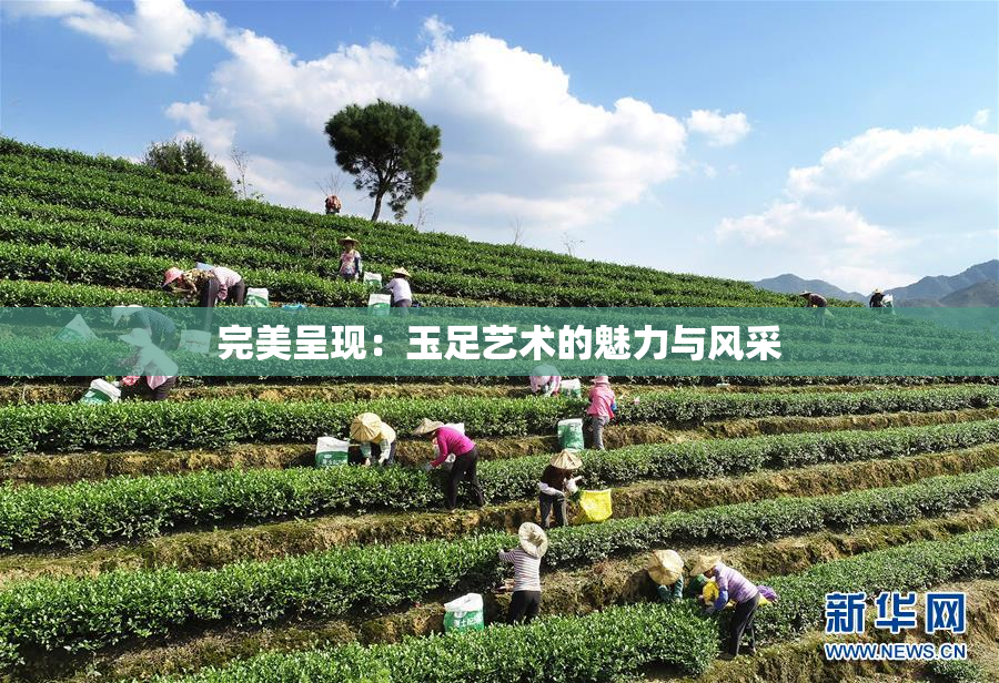 完美呈现：玉足艺术的魅力与风采