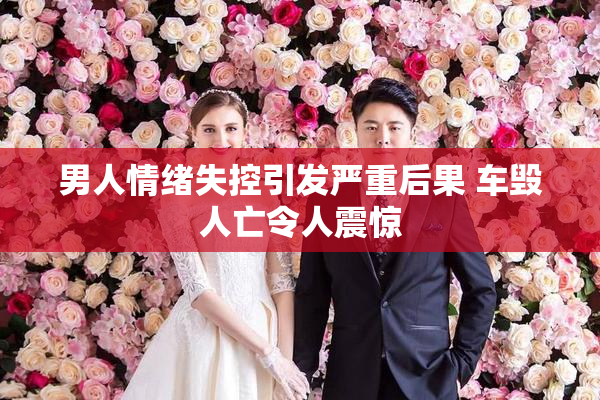 男人情绪失控引发严重后果 车毁人亡令人震惊