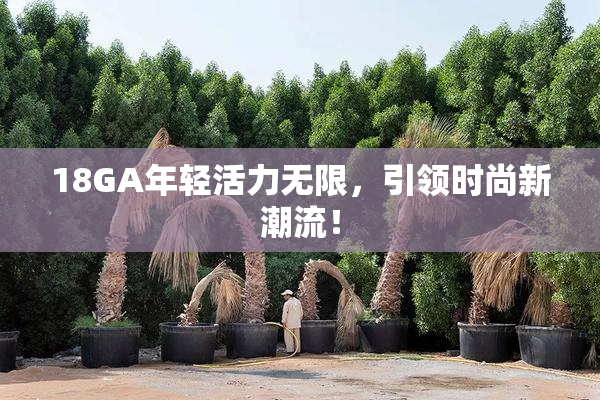 18GA年轻活力无限，引领时尚新潮流！