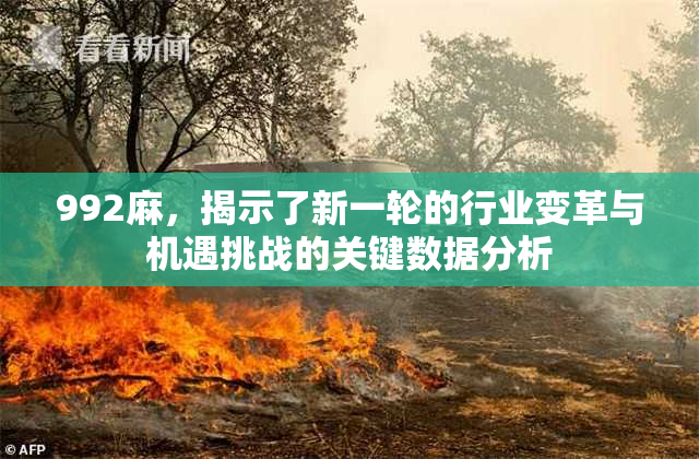 992麻，揭示了新一轮的行业变革与机遇挑战的关键数据分析