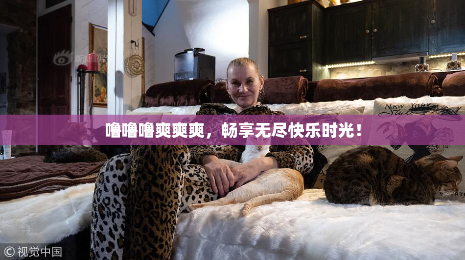 噜噜噜爽爽爽，畅享无尽快乐时光！