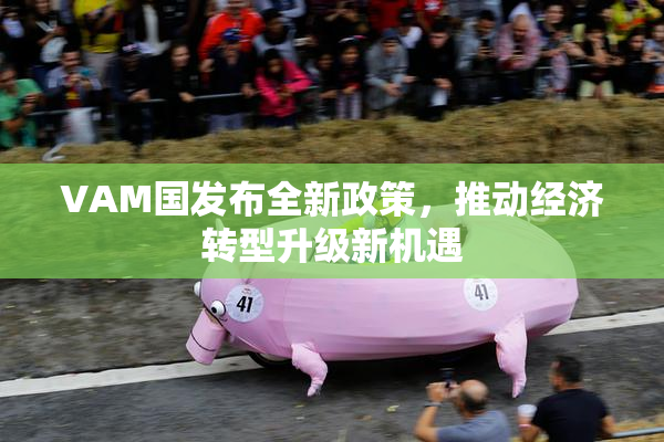 VAM国发布全新政策，推动经济转型升级新机遇