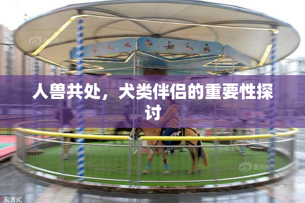 人兽共处，犬类伴侣的重要性探讨