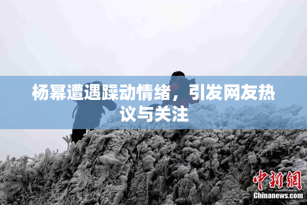 杨幂遭遇躁动情绪，引发网友热议与关注
