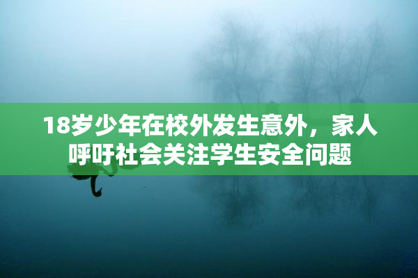18岁少年在校外发生意外，家人呼吁社会关注学生安全问题