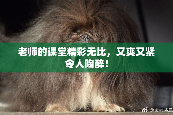 老师的课堂精彩无比，又爽又紧令人陶醉！