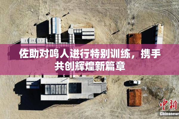 佐助对鸣人进行特别训练，携手共创辉煌新篇章