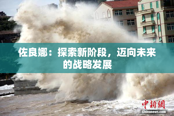 佐良娜：探索新阶段，迈向未来的战略发展