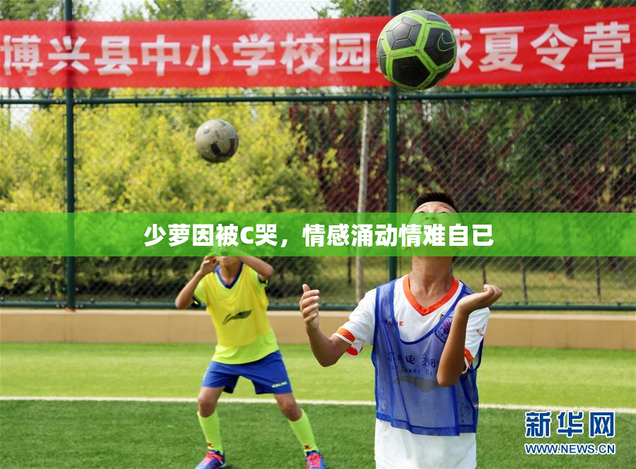 少萝因被C哭，情感涌动情难自已