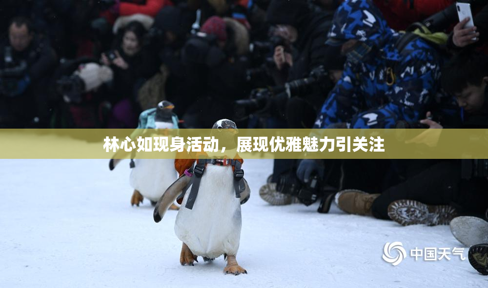 林心如现身活动，展现优雅魅力引关注