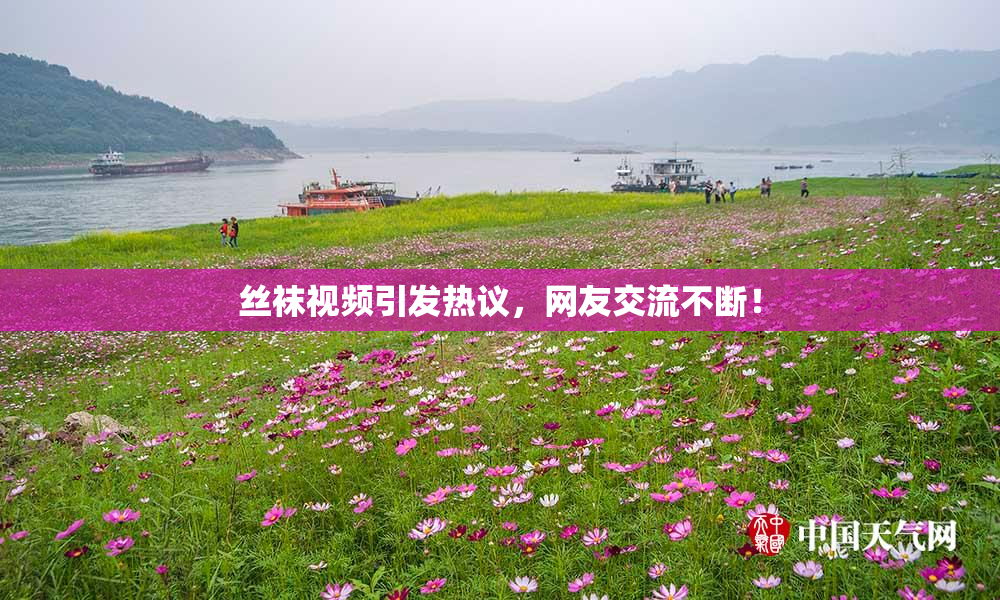 丝袜视频引发热议，网友交流不断！