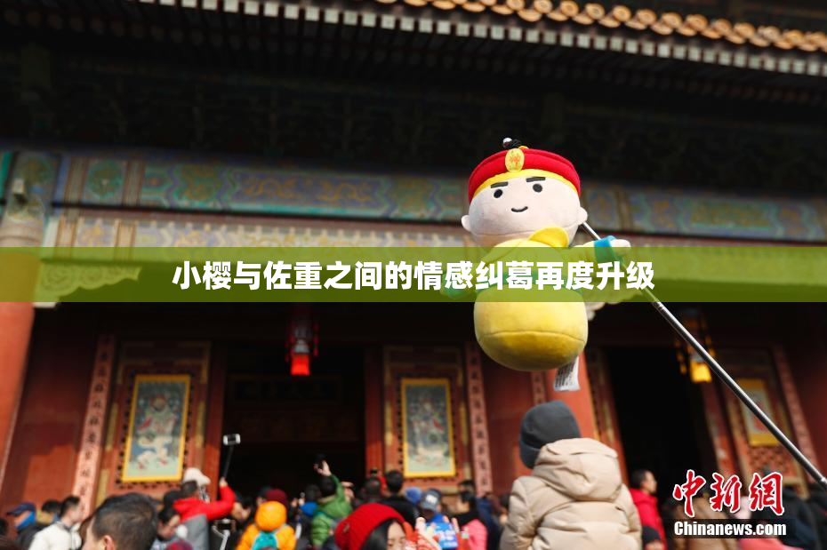 小樱与佐重之间的情感纠葛再度升级