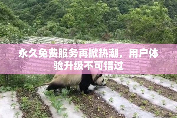 永久免费服务再掀热潮，用户体验升级不可错过