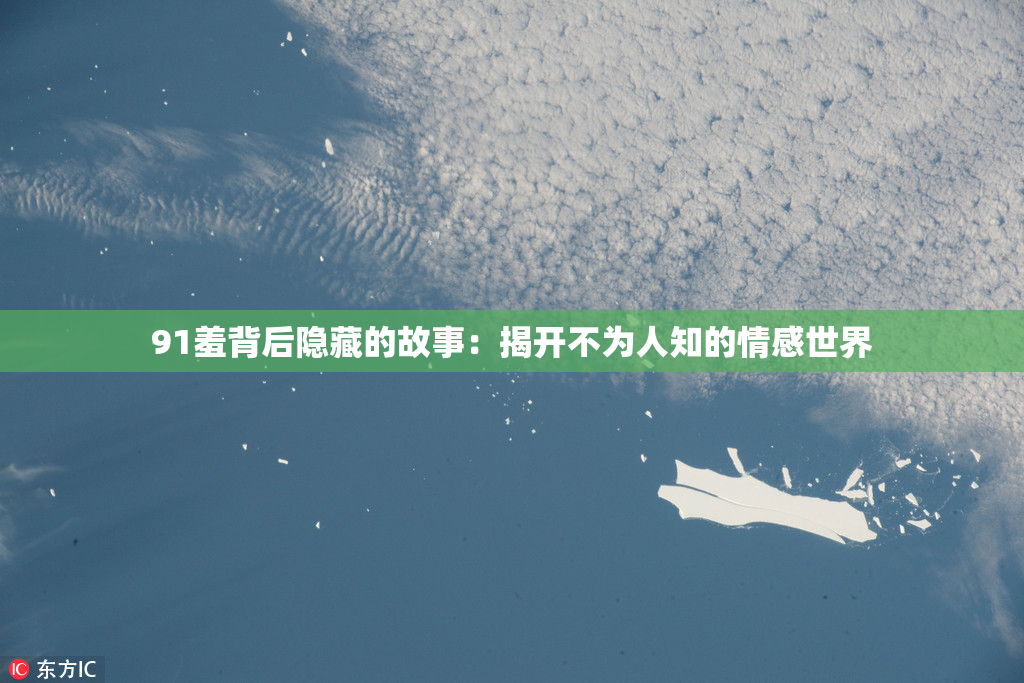 91羞背后隐藏的故事：揭开不为人知的情感世界