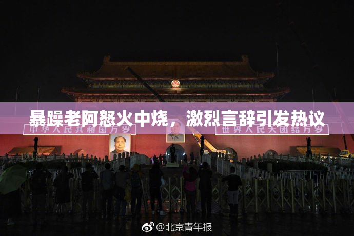 暴躁老阿怒火中烧，激烈言辞引发热议