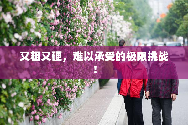 又粗又硬，难以承受的极限挑战！