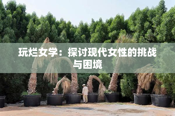 玩烂女学：探讨现代女性的挑战与困境