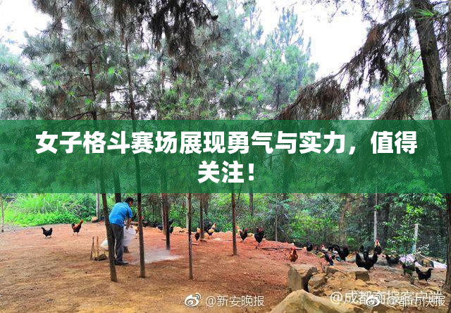 女子格斗赛场展现勇气与实力，值得关注！