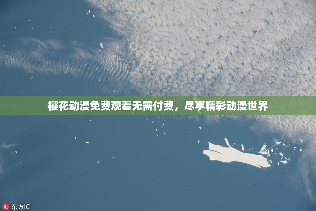 樱花动漫免费观看无需付费，尽享精彩动漫世界
