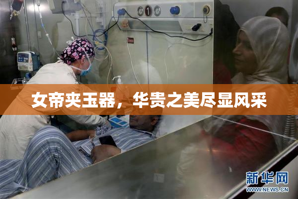女帝夹玉器，华贵之美尽显风采