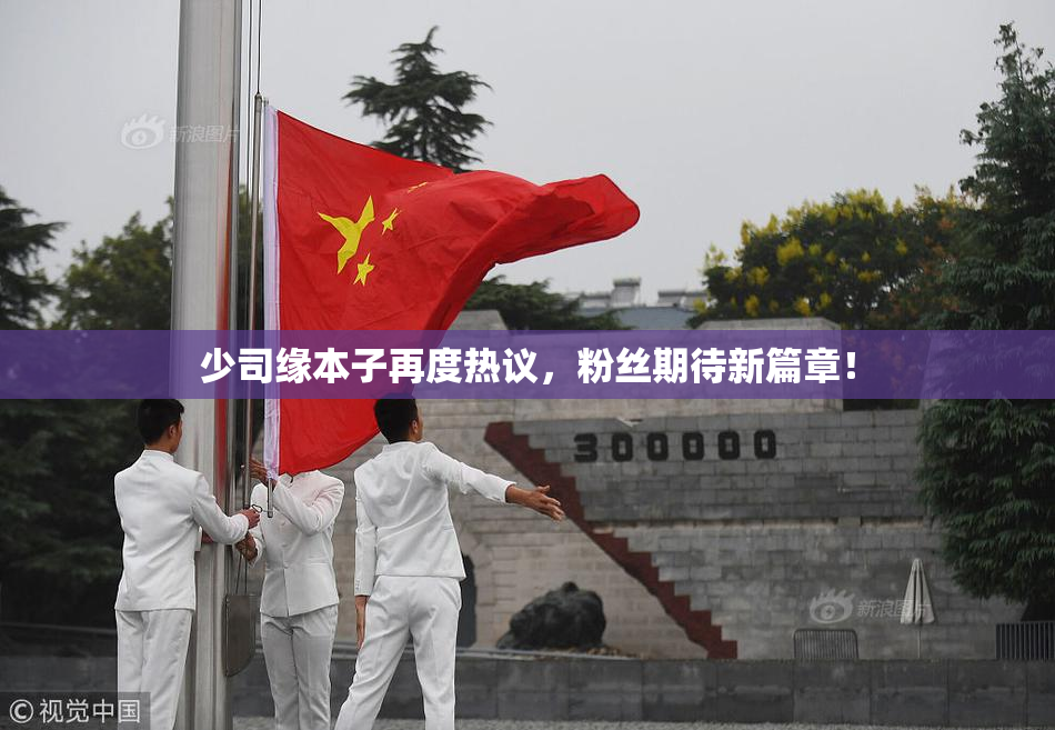 少司缘本子再度热议，粉丝期待新篇章！