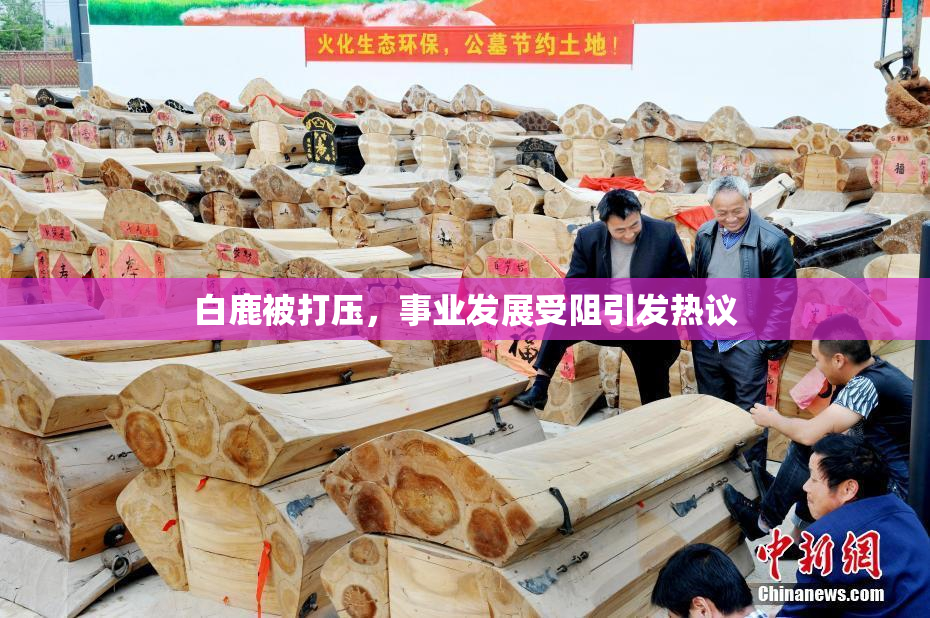 白鹿被打压，事业发展受阻引发热议