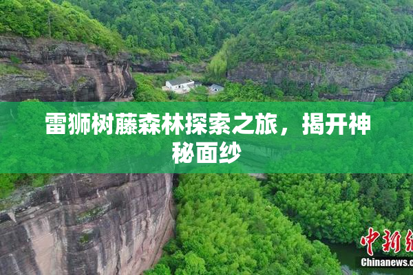 雷狮树藤森林探索之旅，揭开神秘面纱