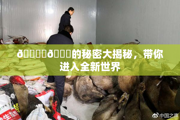 🔞‌🍌的秘密大揭秘，带你进入全新世界