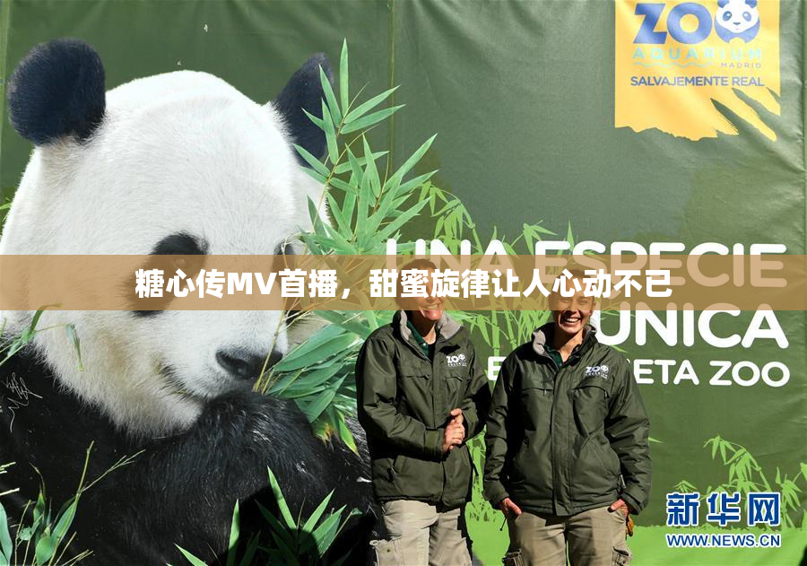 糖心传MV首播，甜蜜旋律让人心动不已