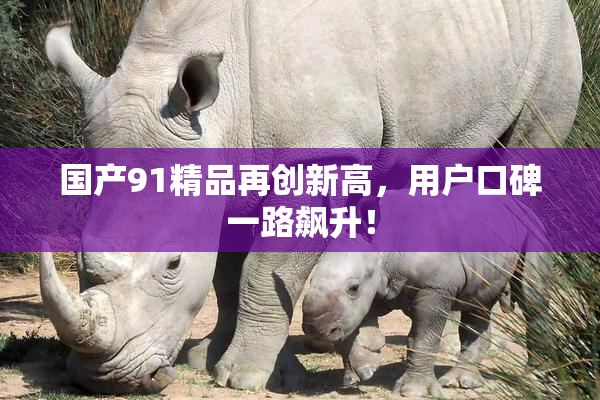 国产91精品再创新高，用户口碑一路飙升！