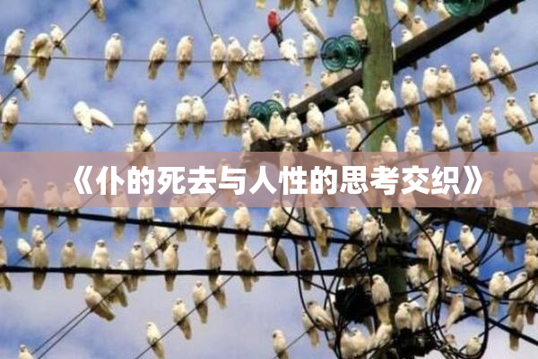 《仆的死去与人性的思考交织》