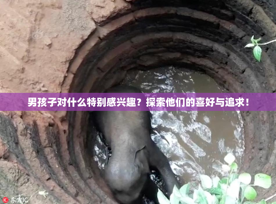 男孩子对什么特别感兴趣？探索他们的喜好与追求！