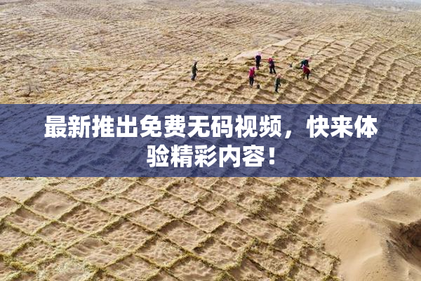 最新推出免费无码视频，快来体验精彩内容！
