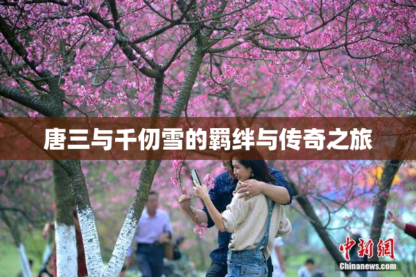唐三与千仞雪的羁绊与传奇之旅