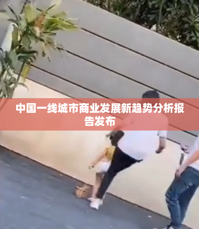 中国一线城市商业发展新趋势分析报告发布