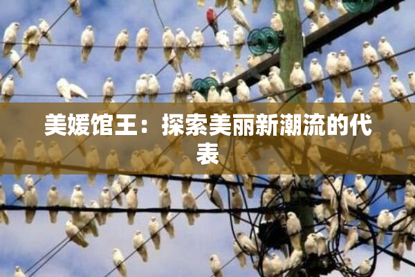 美媛馆王：探索美丽新潮流的代表