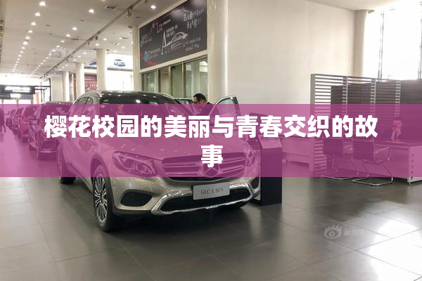樱花校园的美丽与青春交织的故事