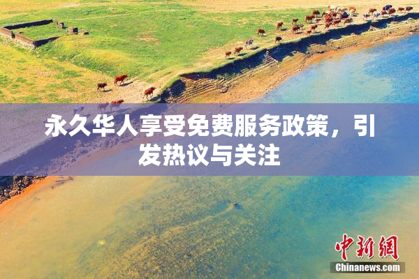 永久华人享受免费服务政策，引发热议与关注