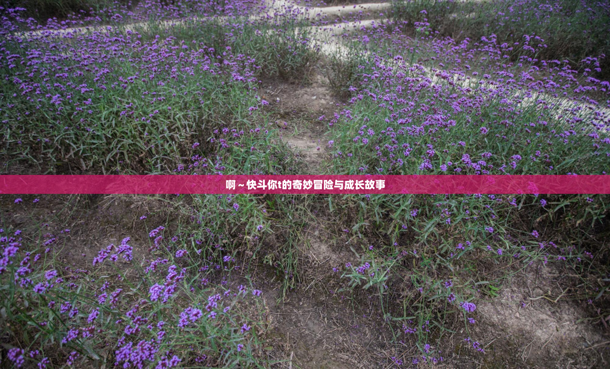 啊～快斗你t的奇妙冒险与成长故事