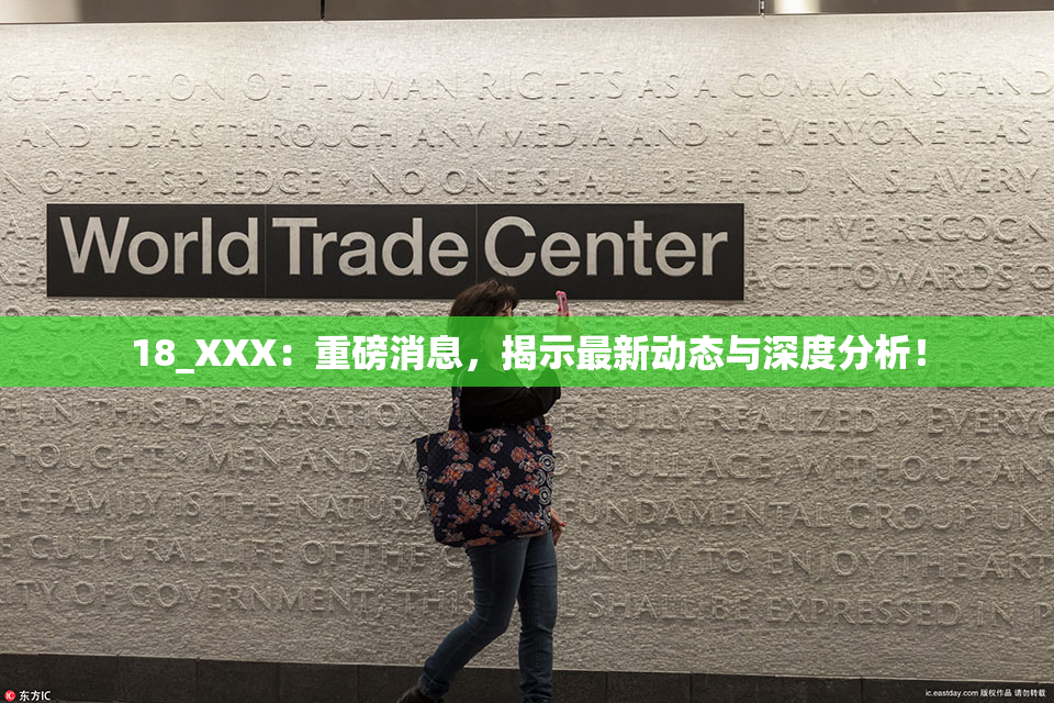 18_XXX：重磅消息，揭示最新动态与深度分析！