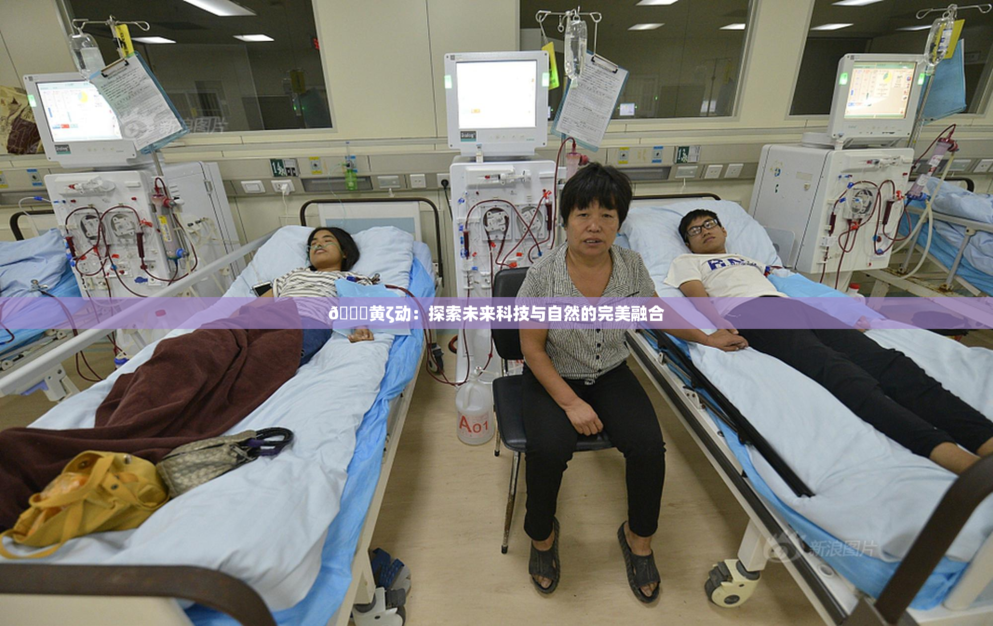 🔞黄ζ动：探索未来科技与自然的完美融合