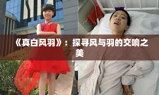 《真白风羽》：探寻风与羽的交响之美