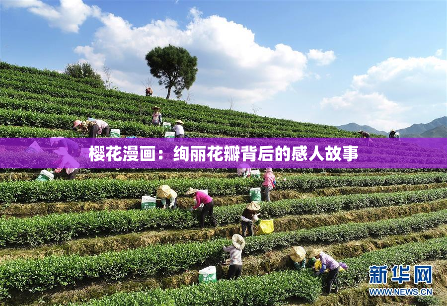 樱花漫画：绚丽花瓣背后的感人故事