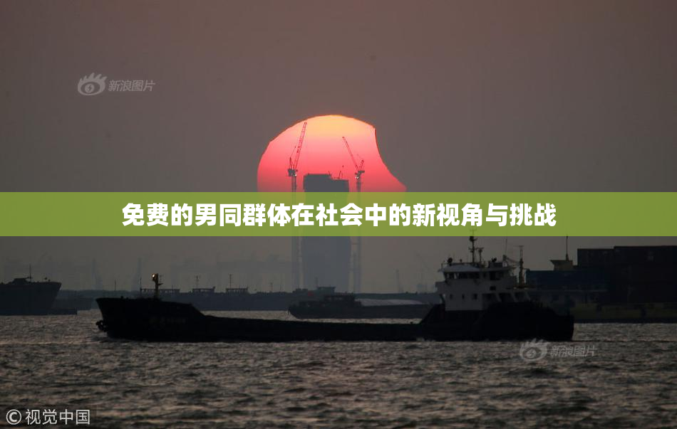 免费的男同群体在社会中的新视角与挑战