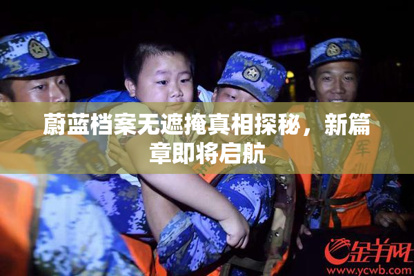 蔚蓝档案无遮掩真相探秘，新篇章即将启航