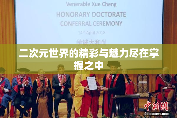 二次元世界的精彩与魅力尽在掌握之中